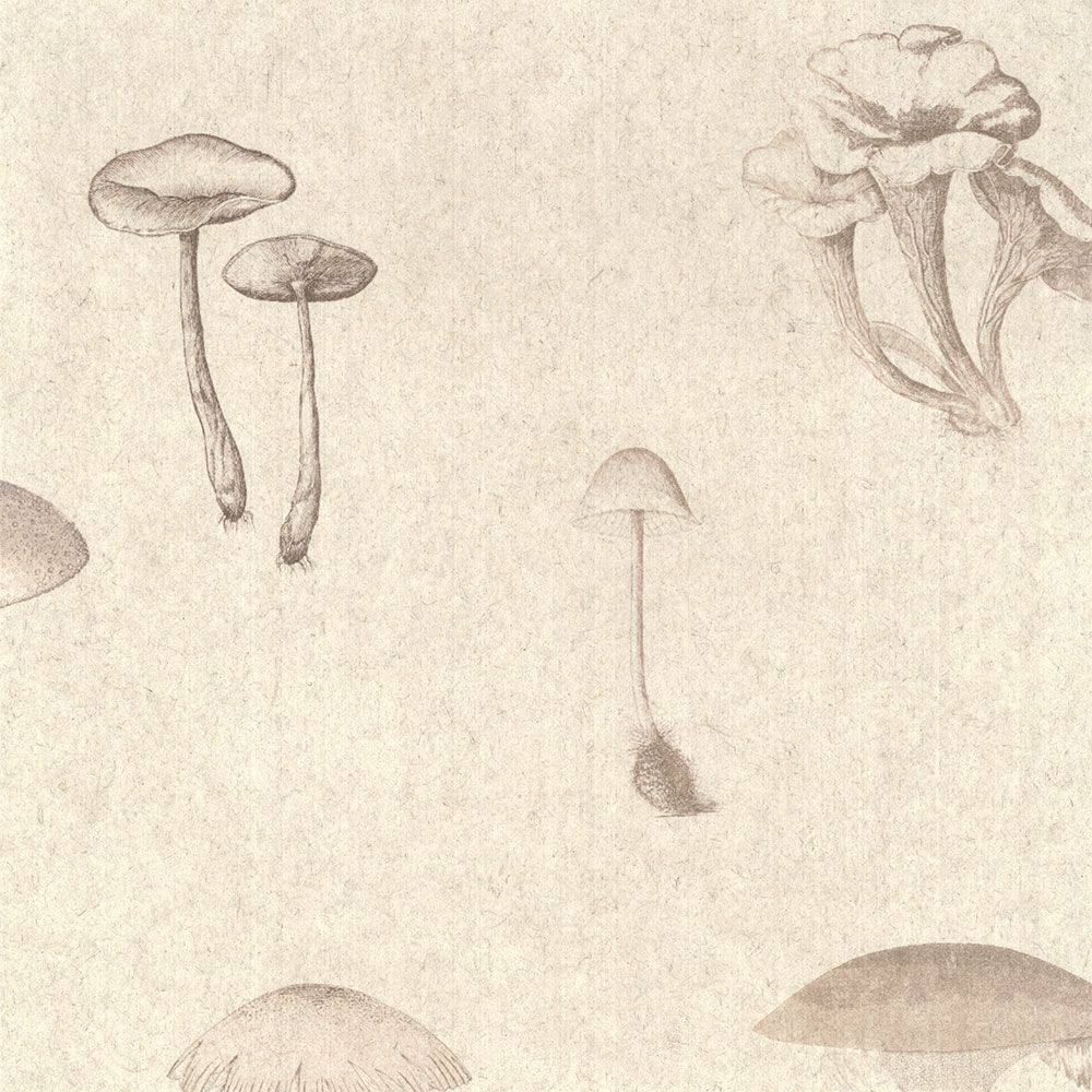 FLAX WALLPAPER | Mushroom Encyclopedia | FWP-ENC-04